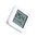 Метеостанция Xiaomi Mijia Bluetooth Hygrothermograph 2 (LYWSD03MMC)