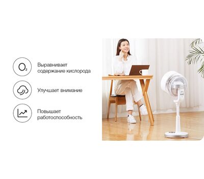 Напольный вентилятор Xiaomi Airmate Circulation Fan CA23-RD2 белый