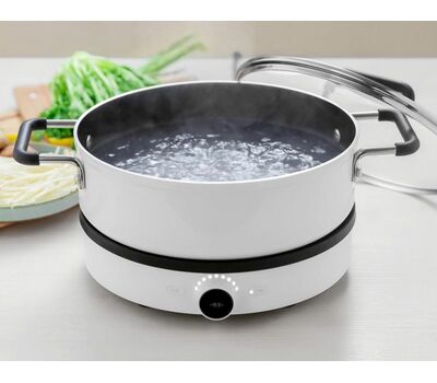 Индукционная плита Xiaomi Mijia Induction Cooker (DCL01CM)