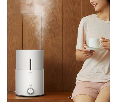 Увлажнитель воздуха Xiaomi Deerma Air Humidifier DEM-SJS100