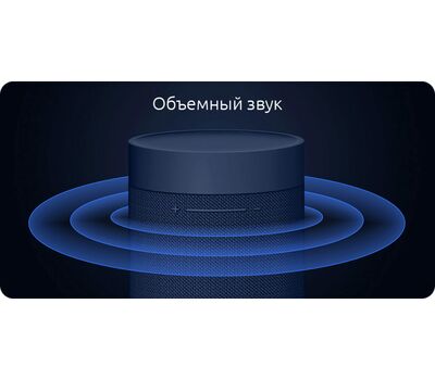 Колонка Xiaomi Mi Outdoor Bluetooth Speaker (XMYX02JY) black