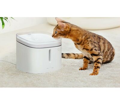 Дозатор воды для животных Xiaomi Kitten&Puppy Water Dispenser MG-WF001