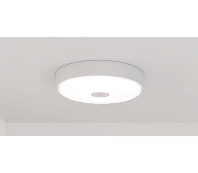 Потолочный светильник Xiaomi Yeelight (YLXD09YL) LED Ceiling Lamp 250 mm Mini Meteorite Induction