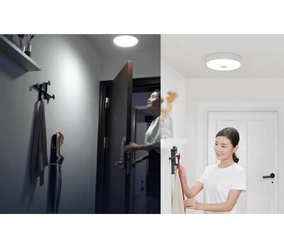 Потолочный светильник Xiaomi Yeelight (YLXD09YL) LED Ceiling Lamp 250 mm Mini Meteorite Induction