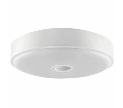 Потолочный светильник Xiaomi Yeelight (YLXD09YL) LED Ceiling Lamp 250 mm Mini Meteorite Induction