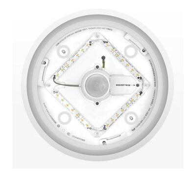 Потолочный светильник Xiaomi Yeelight (YLXD09YL) LED Ceiling Lamp 250 mm Mini Meteorite Induction