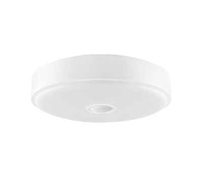 Потолочный светильник Xiaomi Yeelight (YLXD09YL) LED Ceiling Lamp 250 mm Mini Meteorite Induction