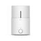 Увлажнитель воздуха Xiaomi Deerma Air Humidifier DEM-SJS600